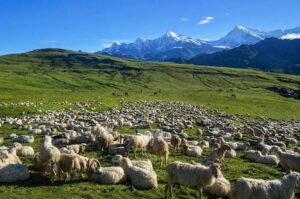 nepal treks for beginners